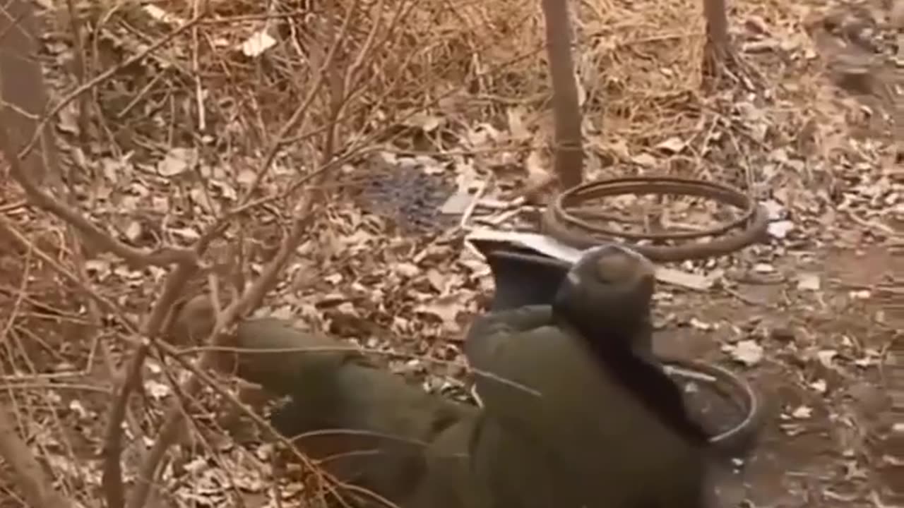 Love, loyalty, strength and courage