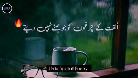 Hum Saath Main Chalte Hai - New TikTok Shayari - Shayari Whatsapp status - Shayari urdu