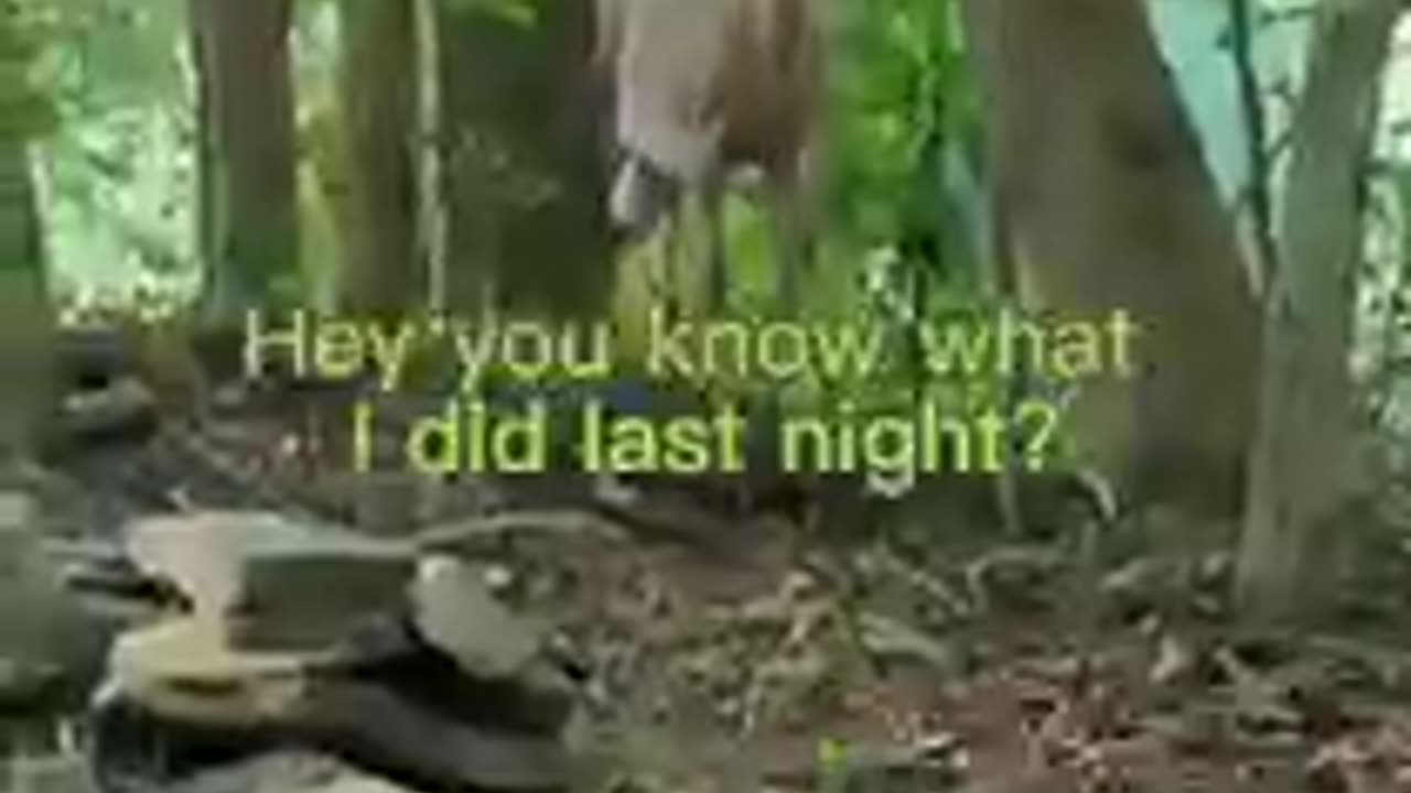 What"s your name!!! Funny!!!