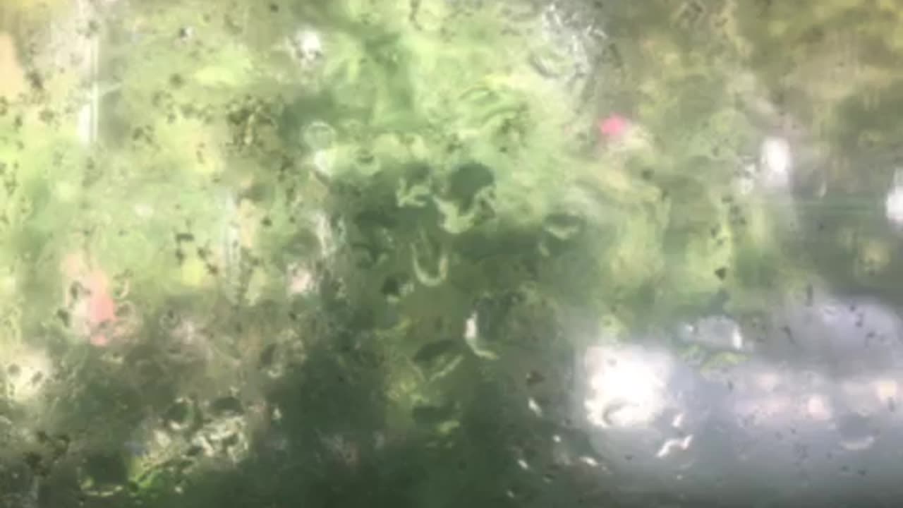 Thursday left hand side spin throwing Jews/ babies under the bus p 4 Derek Hunter Rumble