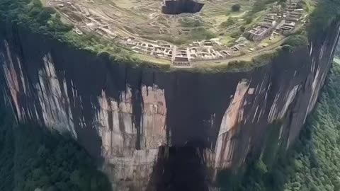 Hidden History: One of the many Giant Tree stumps