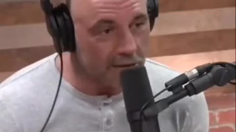 joe rogan and ben shapiro talk about ratatouille