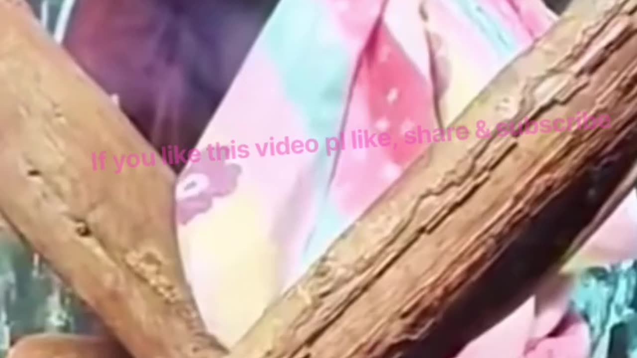 New, Fresh, Funny cute animals 🦜🐪🙉 videos for our viewers.