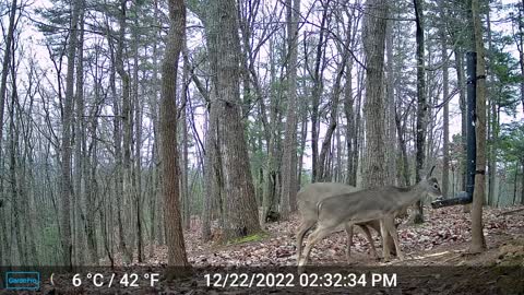 The Woods – 12/23/2022
