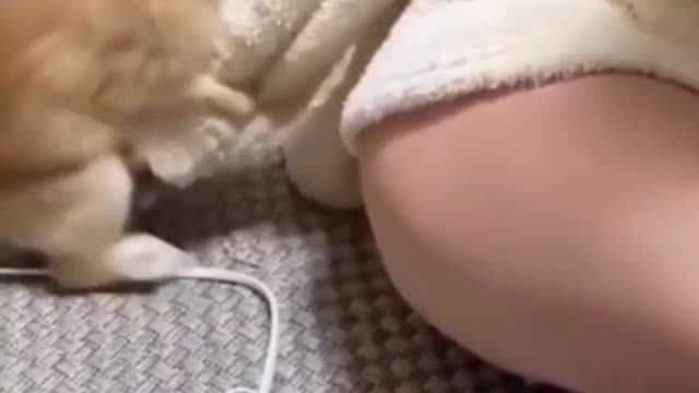 It's a rabbit with an idea. Little sister is embarrassed to blush.