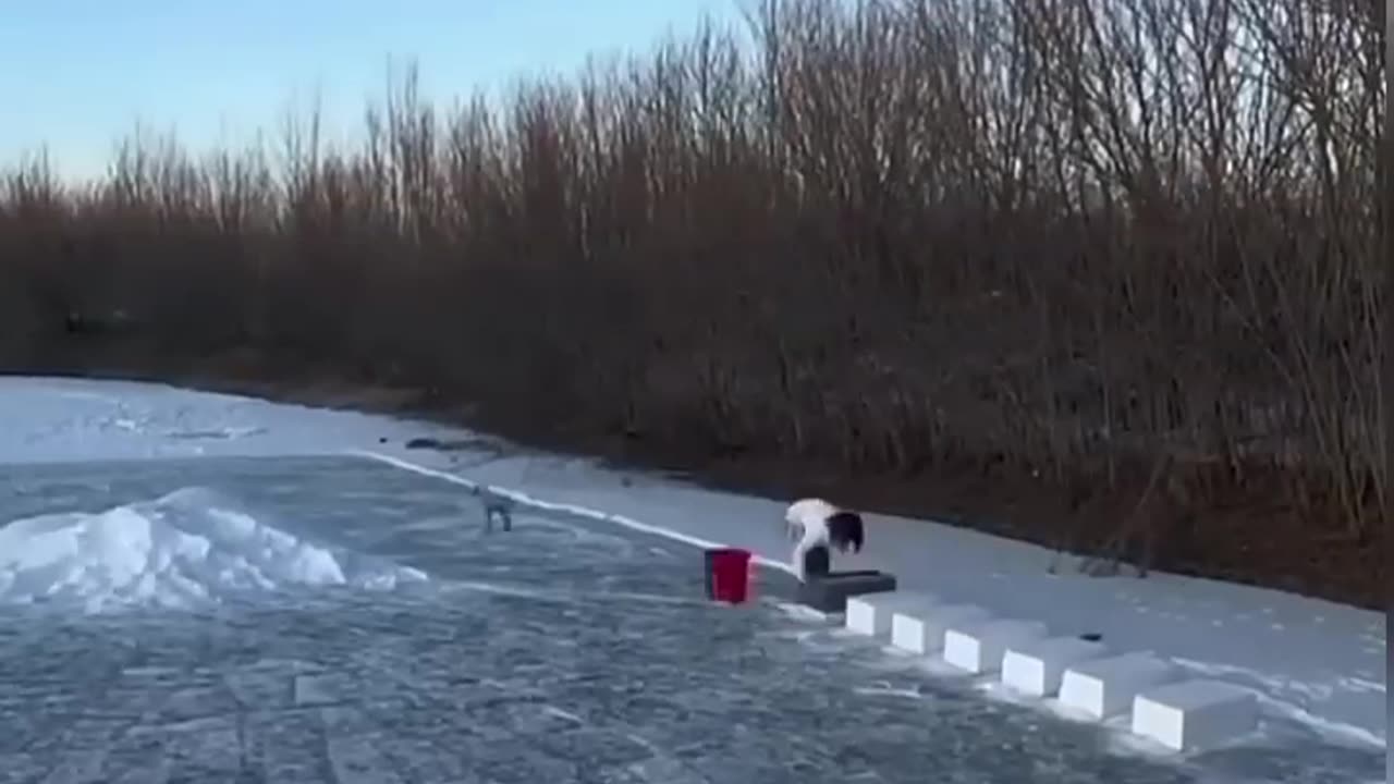 Девушка сделала большой снежный дом❄️