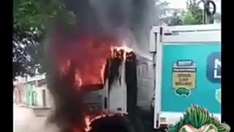 É verão, já é tempo de abrir seu coração e sonha !.