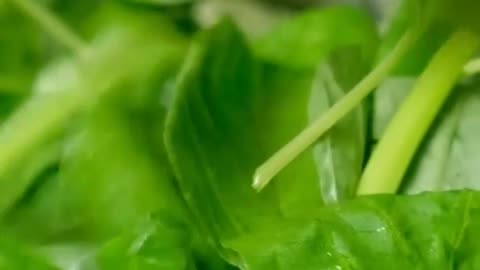 5 Superfoods for Sharper Vision!