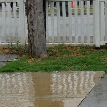 Hurricane Hilary Raining Harder in So Cal