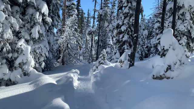 Epic Snow Zone – Central Oregon – Swampy Lakes Sno-Park