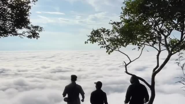 Beautiful place in Kerala 🥰