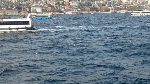 A beautiful natural view of the sea from the ship