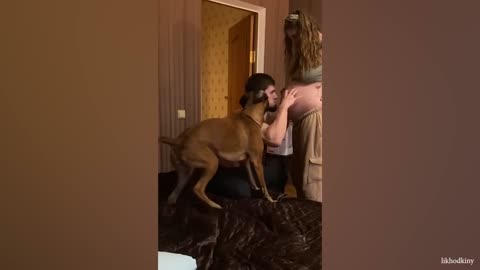 Get a dog these moments you will have