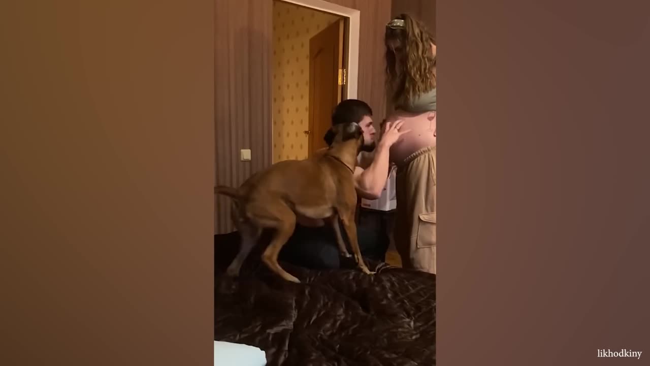Get a dog these moments you will have