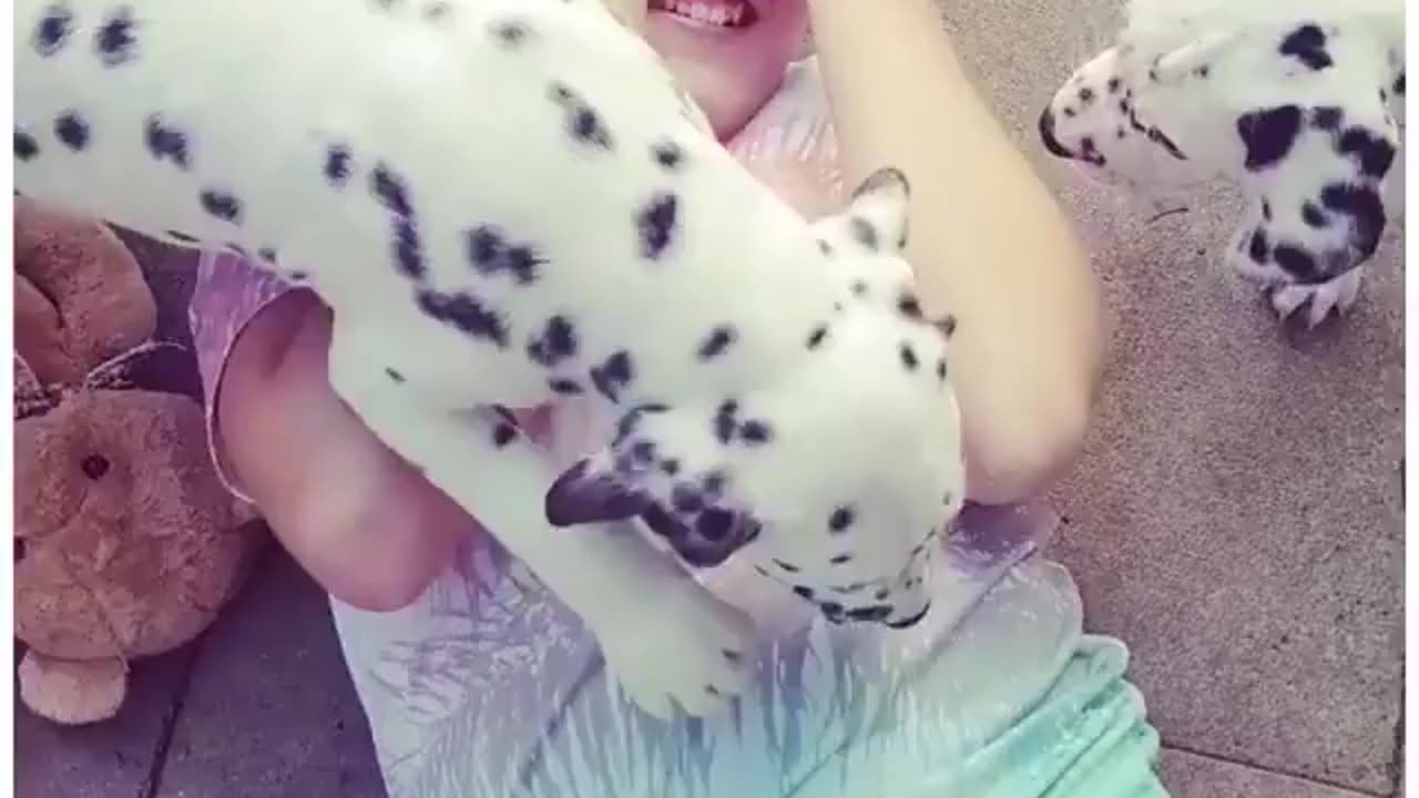 This is real, unconditional dogs love ♥️😍