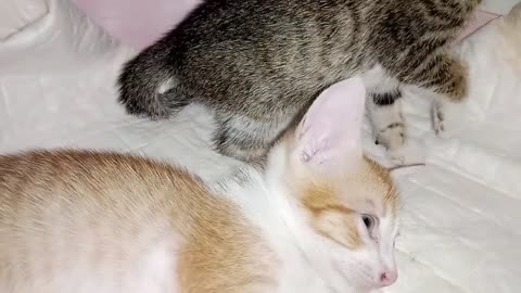 Tired of playing