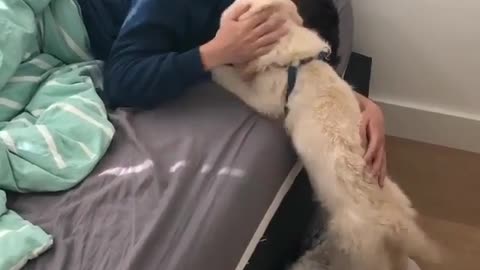 Funny animal videos|Cute animal videos |Funny dog&cat videos|Hilarious pet videos|Funny video