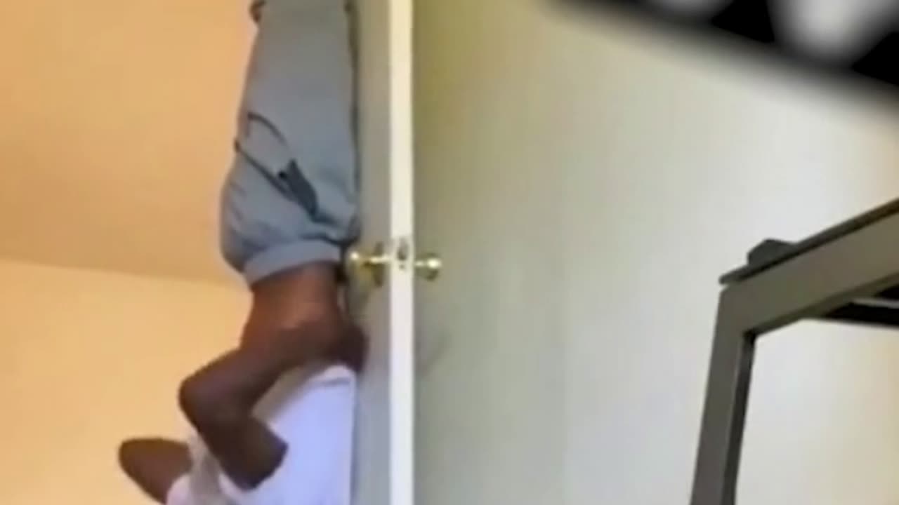 Crazy and Funny Videos!
