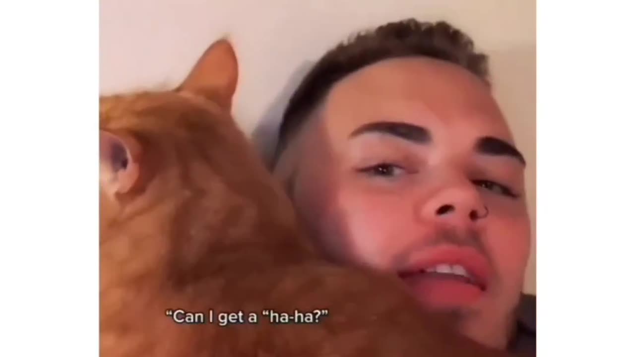 Cat Laugh Is So funny 😂