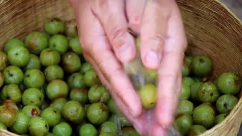 Yunnan Olives Steeped in Rice Wine