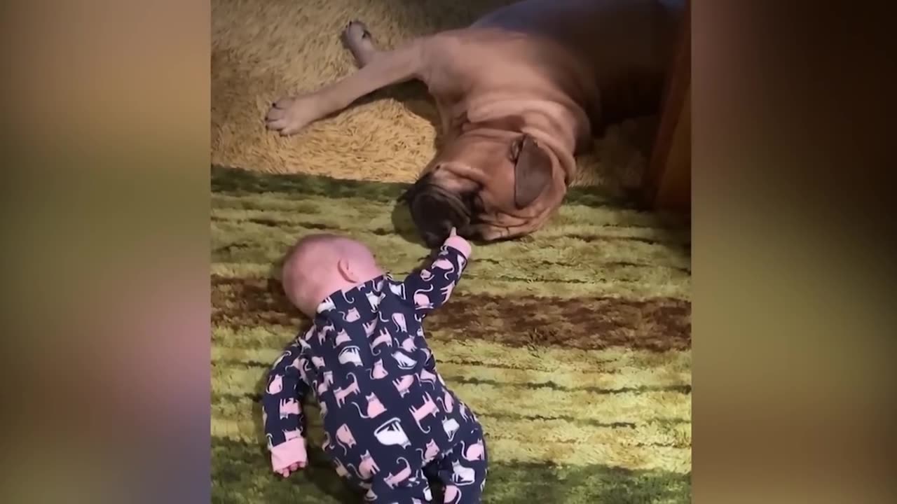 Funniest baby video