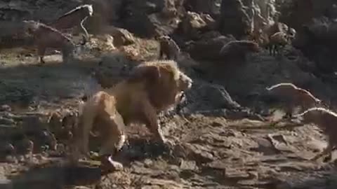 Best scene in the hollywood movie