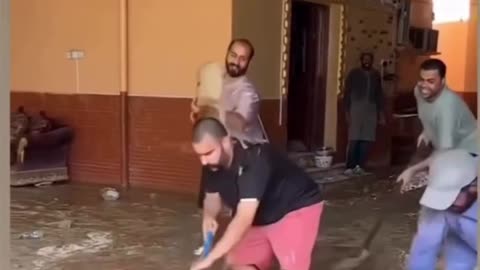 Funny video