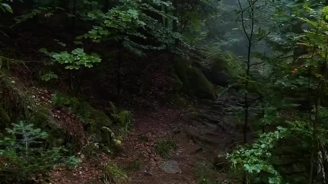 High place makes it easier for us to see the abyss