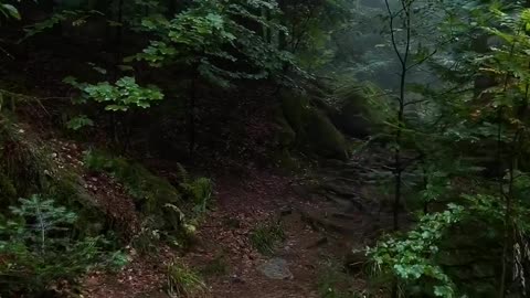 High place makes it easier for us to see the abyss