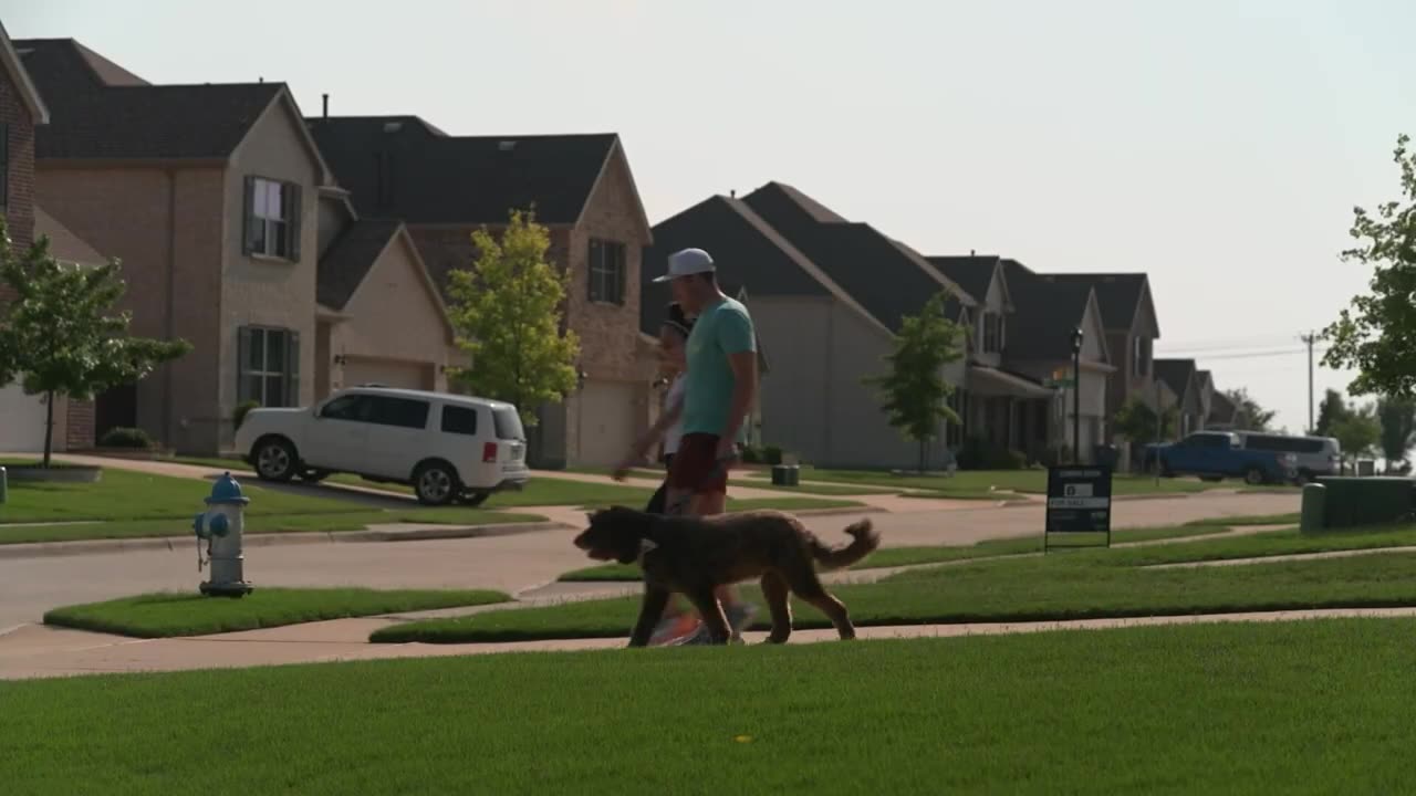 40 goats invade Texas neighborhood