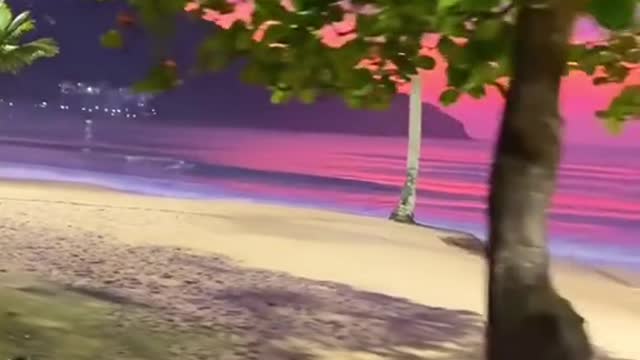 #beachview #beach #sunset #tree #beautifulsky #beauty #foryou #tiktok #scenery