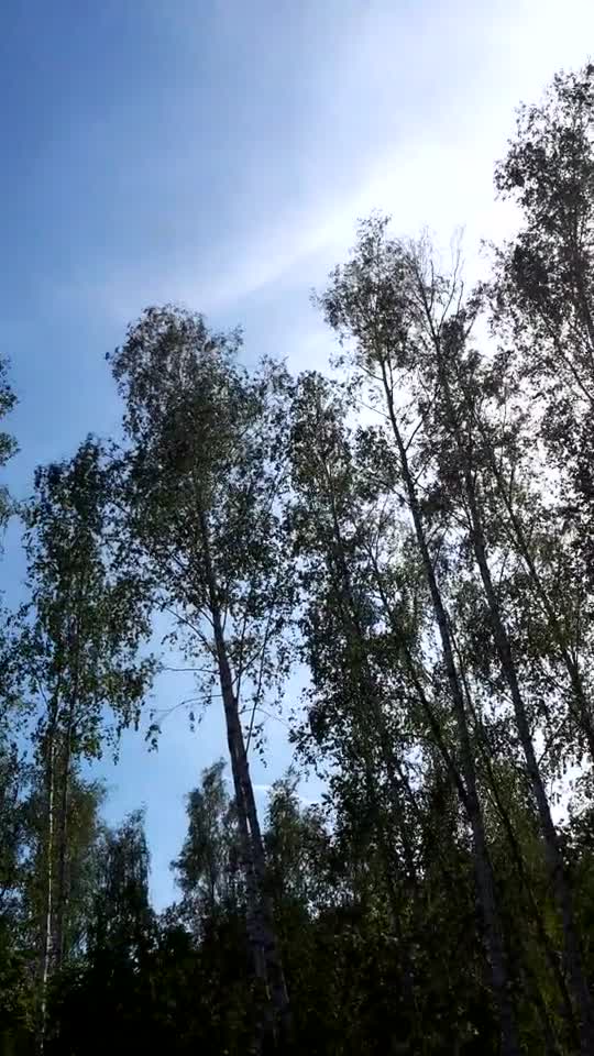 Himmel in Berlin 19. Mai 2022 um 16:10 Uhr