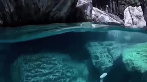 Barracuda Lake in the Philippines