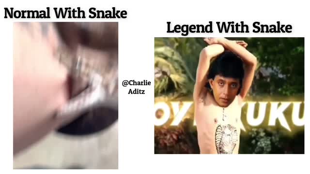 Normal With Snake Vs Legend With Snake !! Memes #viralmemes #mems