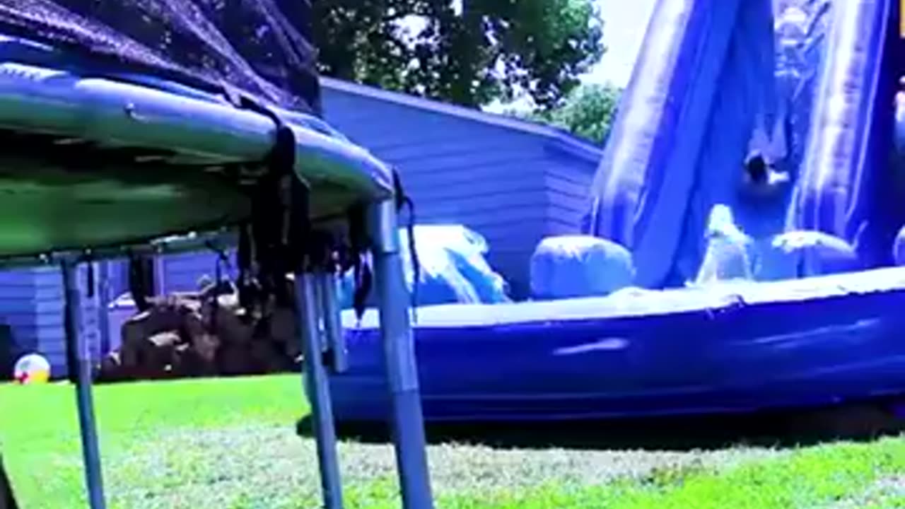 Best Funny Video 1.0.2