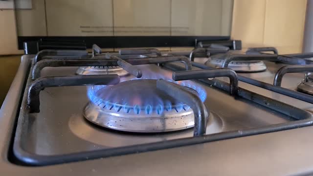 Govt. will not seek gas stove ban