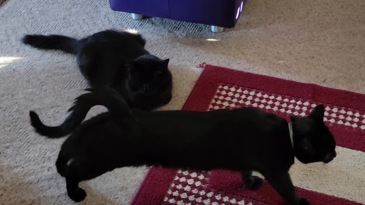 TOO COLD TO GO OUTSIDE