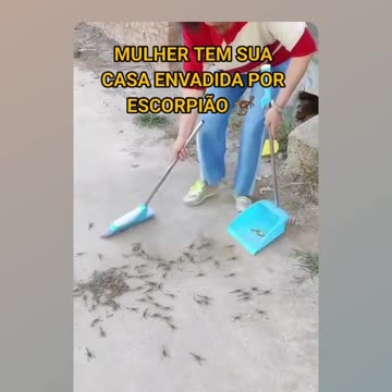 Woman has her home invaded by Scorpions