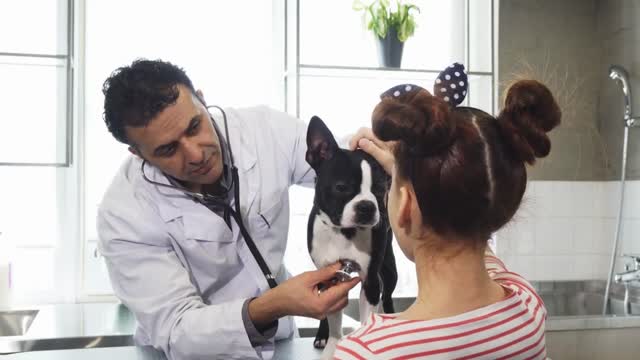 Mature handsome male professional vet using stethoscope examining adorable puppy