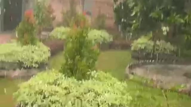 video mentahan hujan lebat