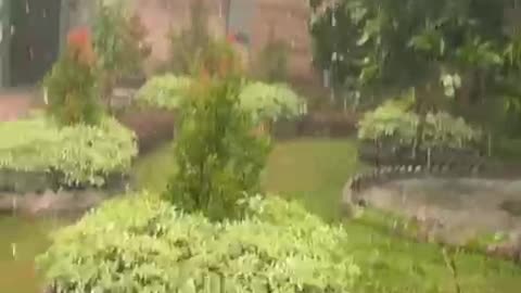video mentahan hujan lebat