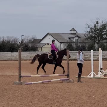 A little jumping at my horse lesson