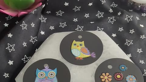 Owl Mail #shorts