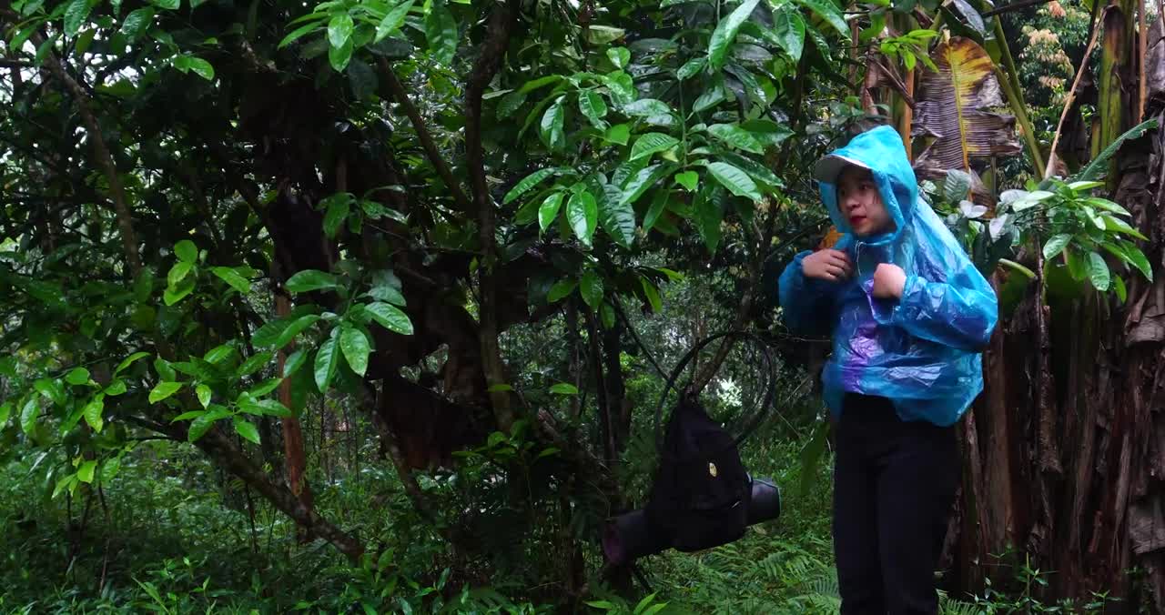 complete great shelter tent in the rain in forest-9