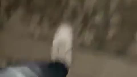 Πλάνα λίγες στιγμές μετά το δυστύχημα.