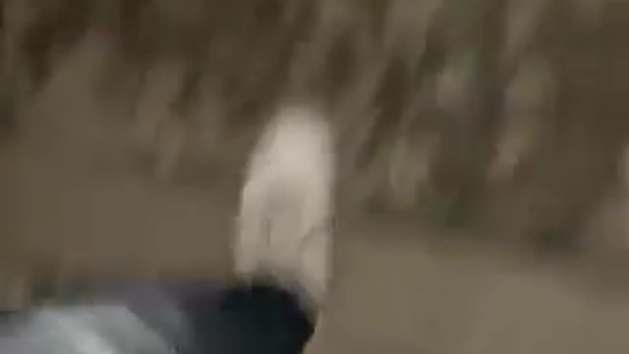 Πλάνα λίγες στιγμές μετά το δυστύχημα.