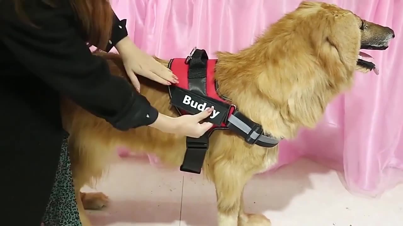 Reflective Breathable Adjustable Pet Harness For Dog