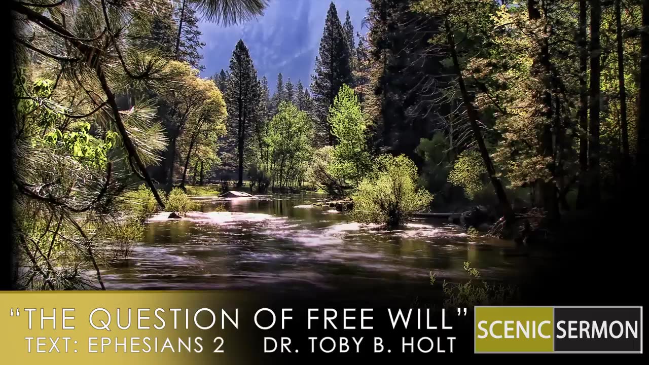 The Question Of Free Will (In Our Salvation) Dr. Toby B. Holt
