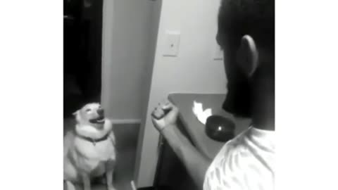 You dare!?!?! 🤣