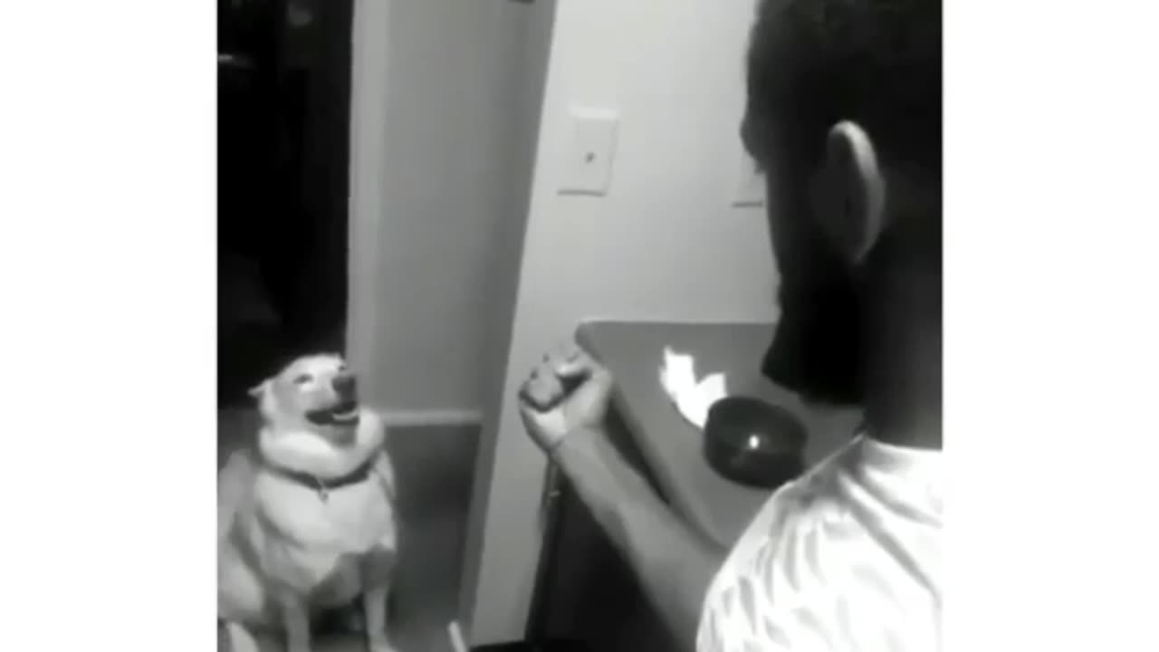 You dare!?!?! 🤣
